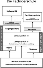 Grafik FOS.jpg